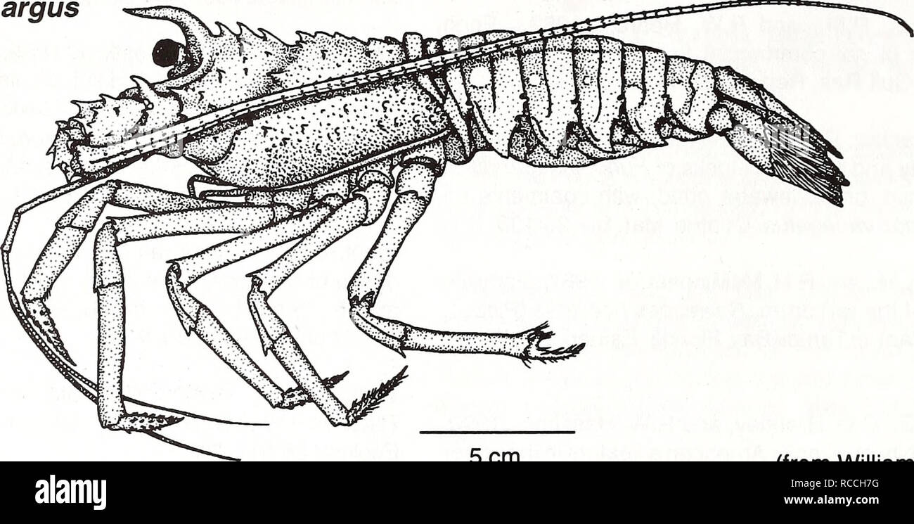 . Distribution and abundance of fishes and invertebrates in Gulf of