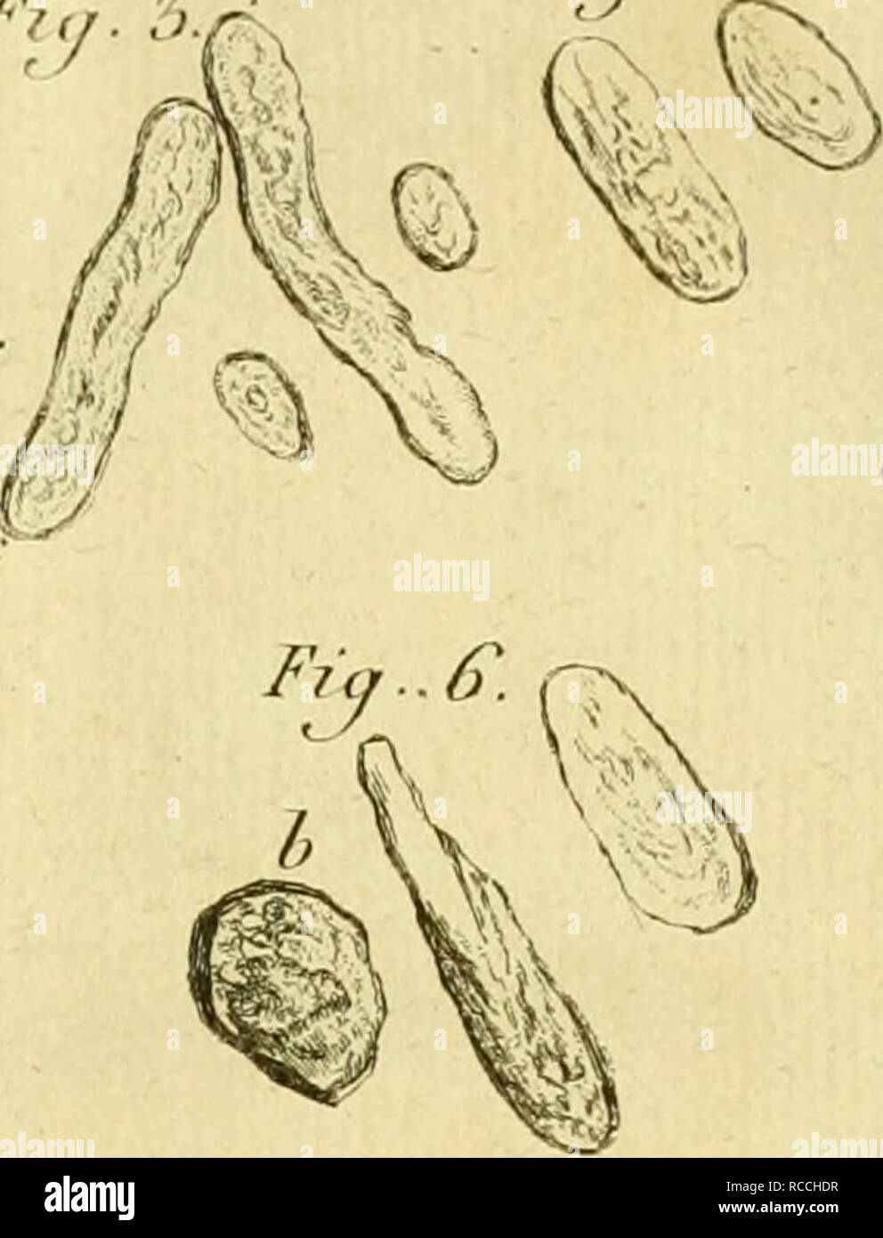 Iv9 High Resolution Stock Photography And Images Alamy