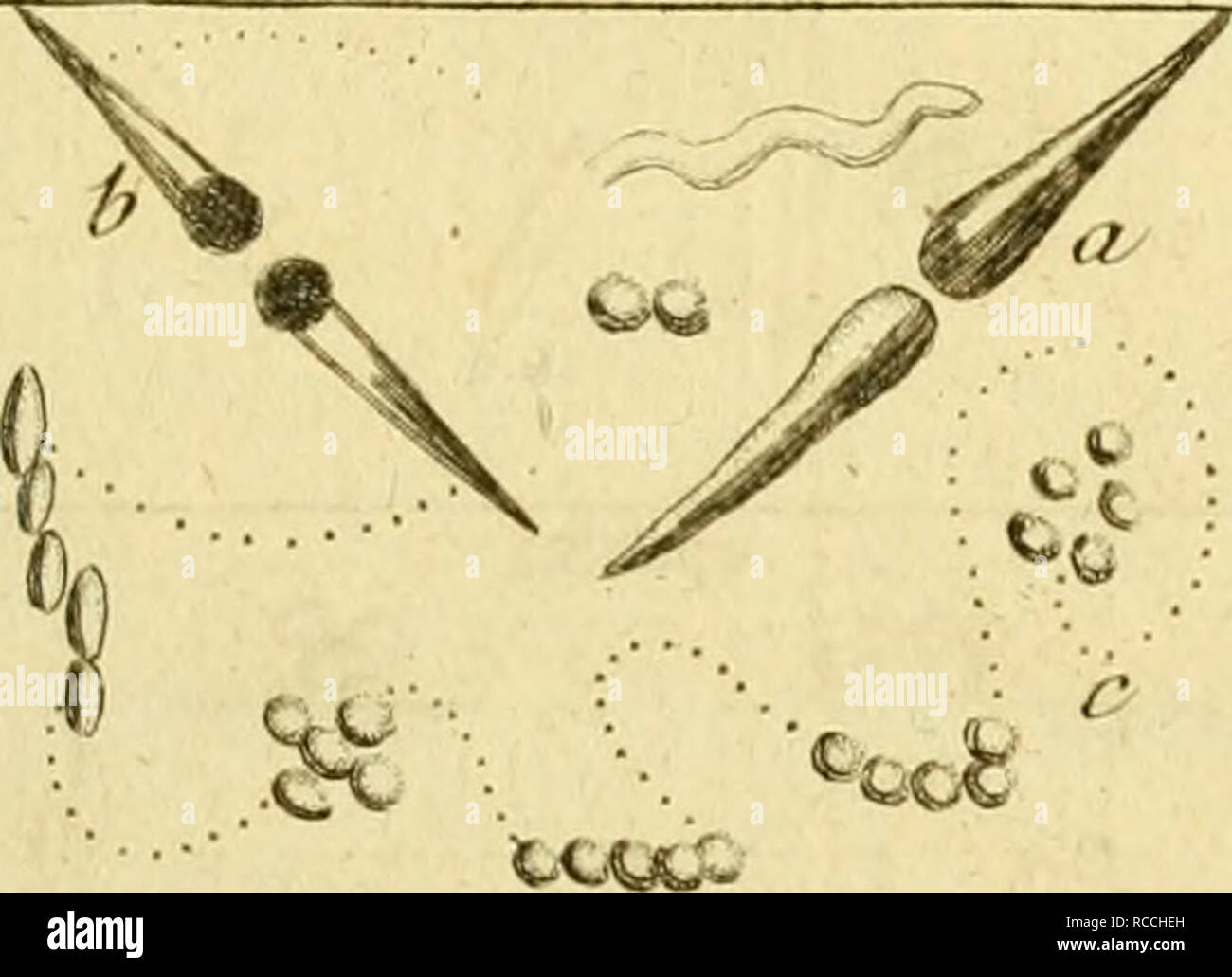 J2j High Resolution Stock Photography And Images Alamy