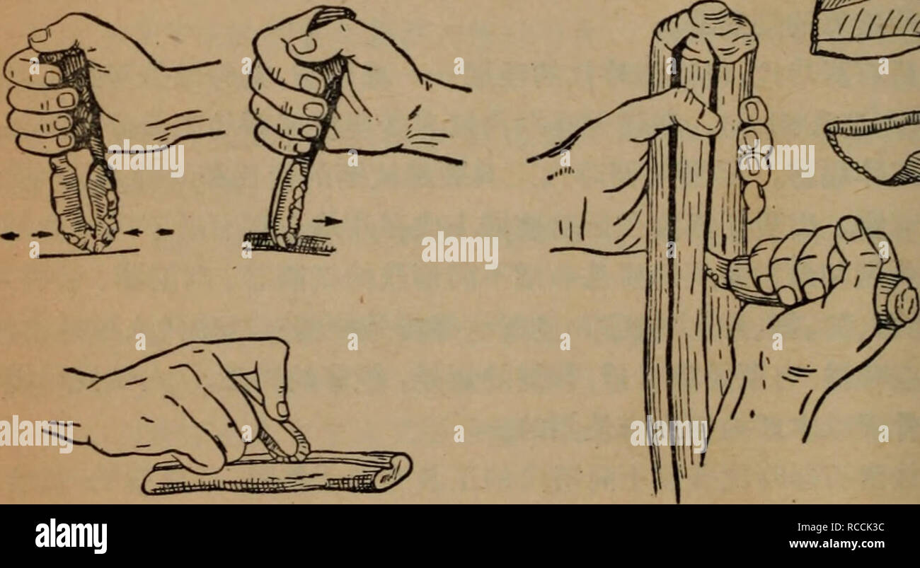Di Si Ji Dong Zhi Wu Qun Ji Ren Lei De Fa Zhan Microbiology C Ca A Cae E E C A E Aµaee Cc A Ac A Cc Ca A E A E Aµc A A Aeeªªa E Ae C Aea Eª A Ca A C Ae Aea I E Eº A Ec A Aea A Ae Eª A E A Ae A C Caeaeac Eª E E Aeaea C Ce E aea C C Ae eaeaaeae C C