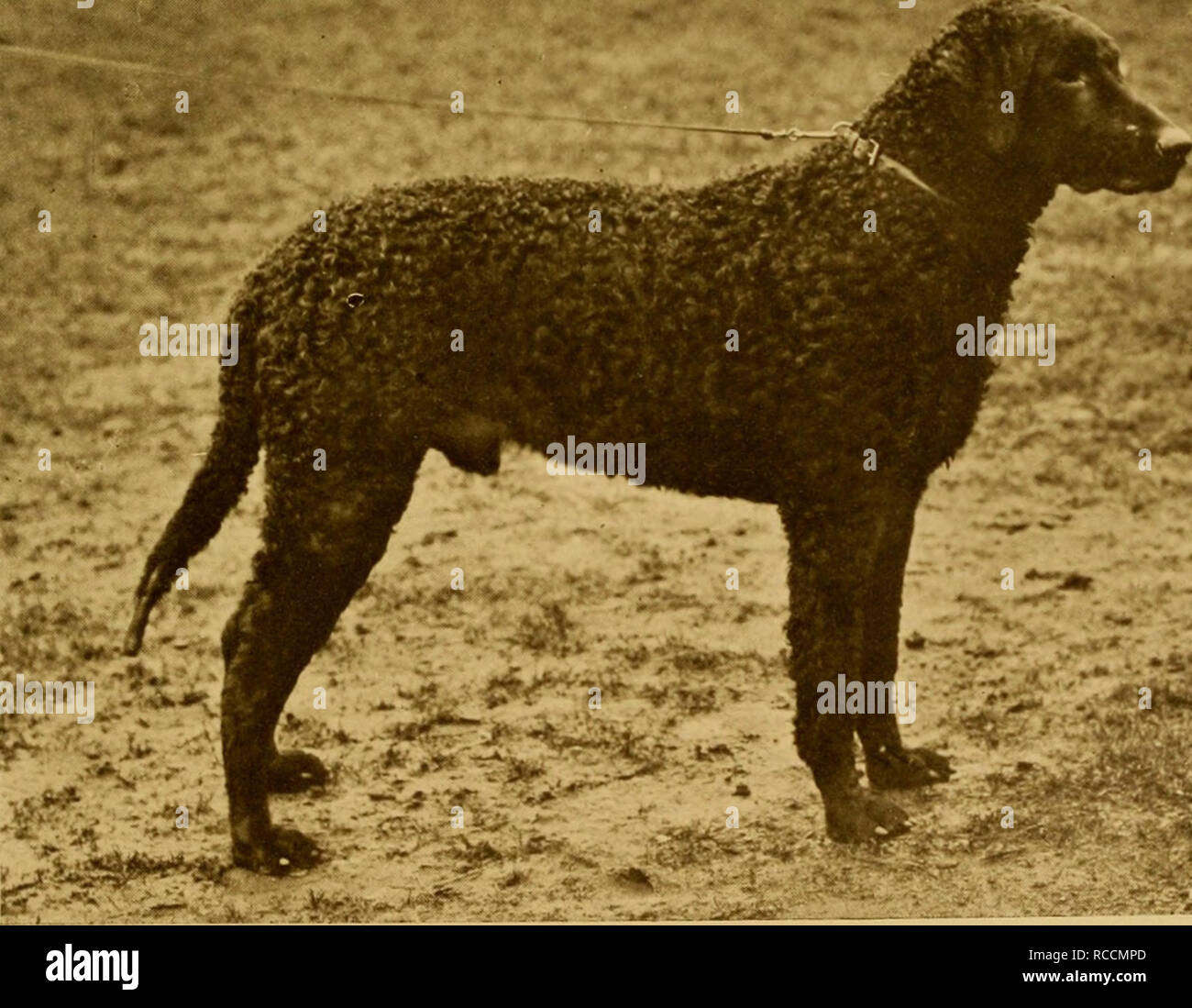 Urmston history hires stock photography and images Alamy