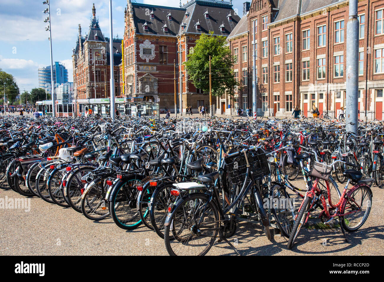 bike rack for outside house