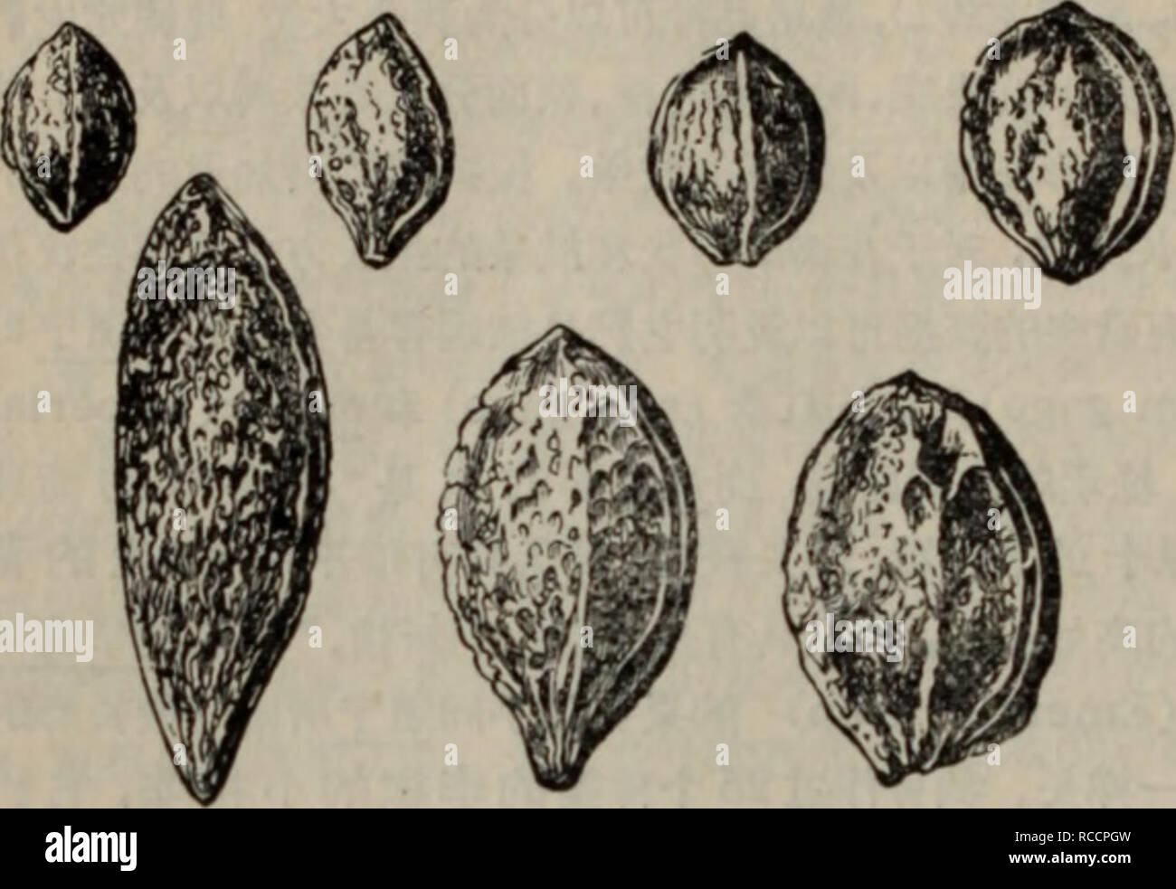 Vocabulaire Des Anciens Noms De Lieux De La Belgique Orientale Botany Names Geographical L Gt Ot Gt A A A Bushels Ia Wjfa C 3 T A W Fil Wlwhmsp Amp K Quot A Dam Son J Vocabulaire Des Anciens Noms De Lieux De La Belgique Orientale Botany Names Geographical L Gt Ot Gt A A A Bushels Ia Wjfa C 3 T A W Fil Wlwhmsp Amp K Quot A Dam Son J