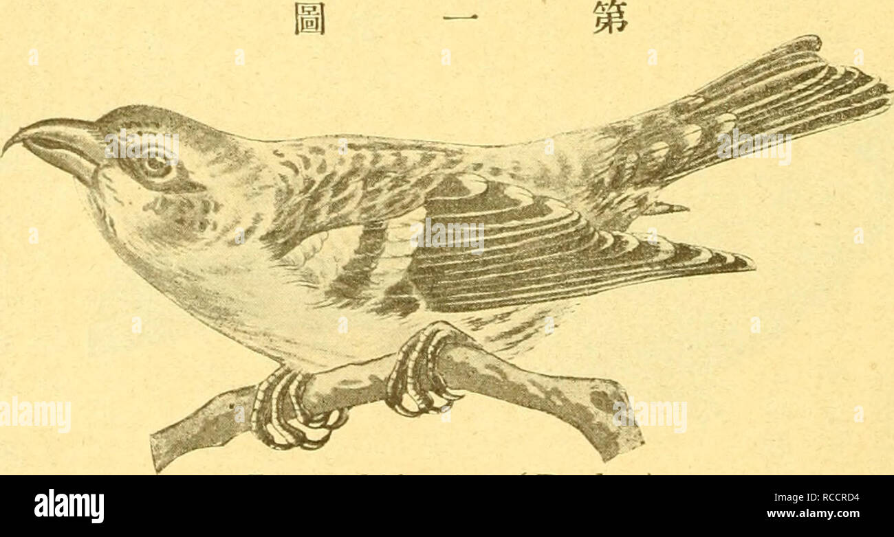 Oeaa High Resolution Stock Photography And Images Alamy
