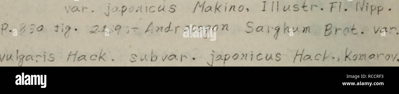 Page 4 N I C E High Resolution Stock Photography And Images Alamy