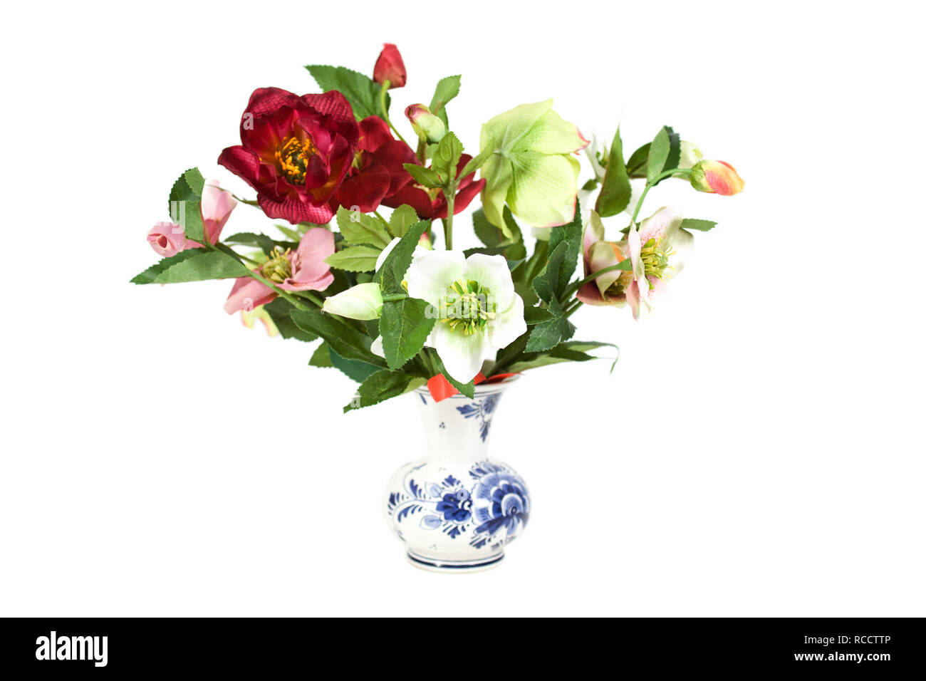vase hellebore flowers on isolated white background Stock Photo