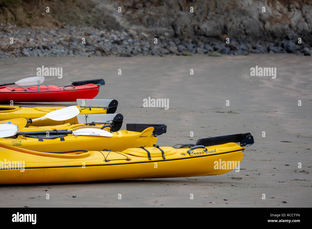 Flea Bay, Banks Peninsula, New Zealand - January 6 2019: Kayaks on the beach ready for tourists to go on a wildlife experience Stock Photo