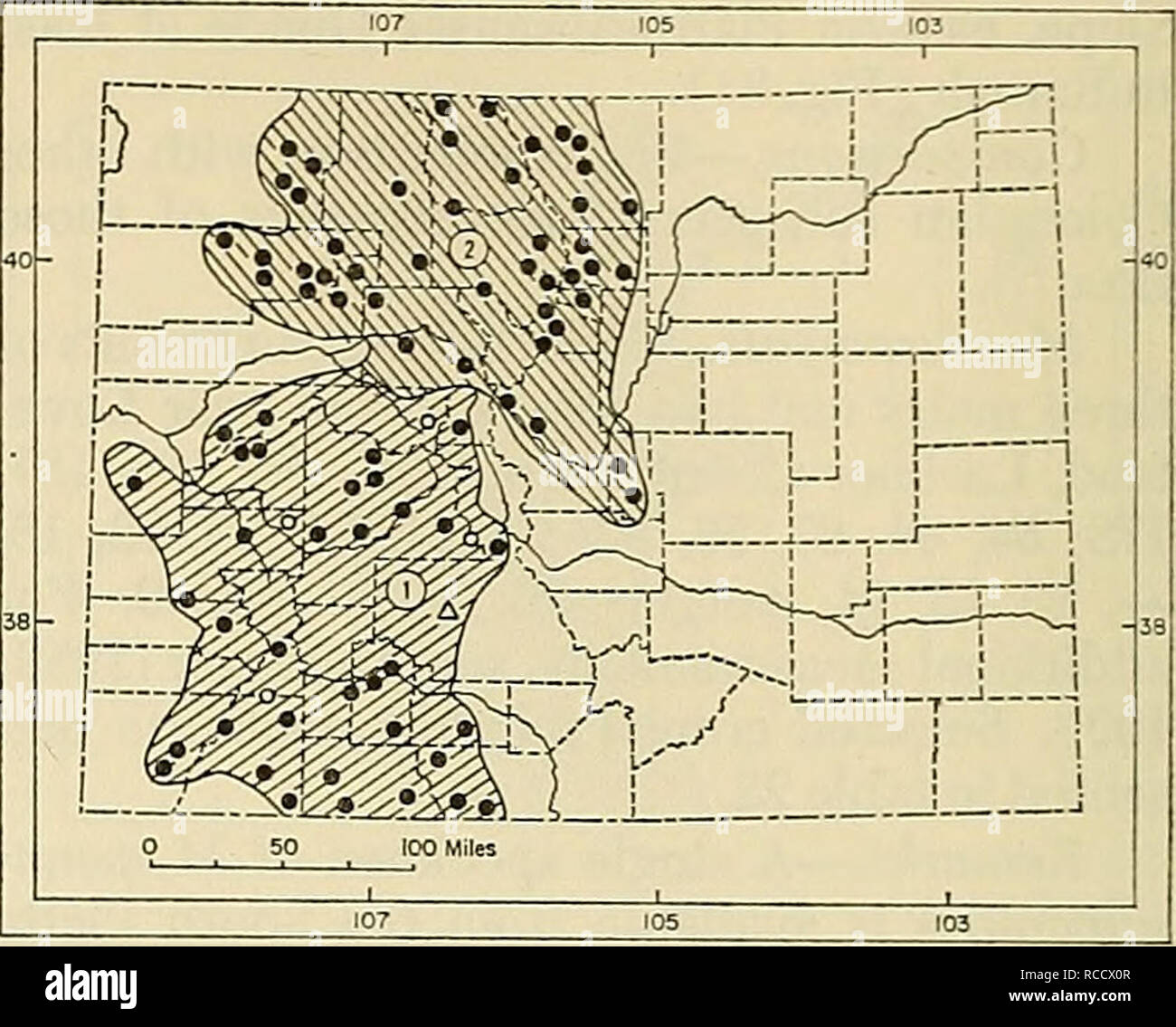 . Distribution of mammals in Colorado. Mammals. 238 MONOGRAPH MUSEUM OF NATURAL HISTORY NO. 3 and (to a lesser extent) M. pennsylvanicus. Microtus montanus is allopatric with the prai- rie vole. Cruzan (1968) studied interactions among the species of Microtus in the Front Range. Typical habitat of the montane vole is moist meadows, but grassy sites well above standing water also are occupied. Runways and burrows frequently are encountered at the bases of aspens (Populus tremuloides). As a generalization, M. montanus has a broader range of ecological tolerance in Colorado than does M. pennsylva Stock Photo