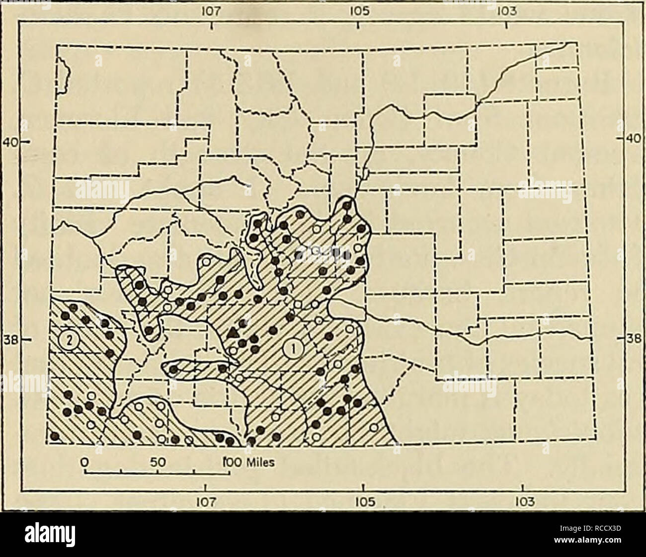 . Distribution of mammals in Colorado. Mammals. 1972 ARMSTRONG: COLORADAN MAMMALS 139 those inhabited by Cynomys leucurus farther north. Cynomys gunnisoni is the smallest of Colo- radan prairie dogs. Superficially, Gunnison's prairie dog and the white-tailed prairie dog are similar, but they differ in average size, color, and cranial details, as well as in habitat preferences and details of social organization (see Lechleitner, 1969). Burnett and McCampell (1926a) discussed the natural history of the southwestern sub- species, C. g. zuniensis. Longhurst (1944) studied ecology of the nominate r Stock Photo