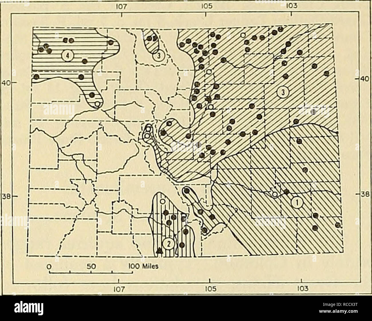 . Distribution of mammals in Colorado. Mammals. 124 MONOGRAPH MUSEUM OF NATURAL HISTORY NO. 3. Fig. 46. Distribution of Spermophilus tridecem- lineatus in Colorado. 1. S. t. arenicola. 2. S. t. blanca. 3. S. t. pallidus. 4. S. t. parvus. For explana- tion of symbols, see p. 9. Comparisons.—From S. t. pallidus, geo- graphically adjacent to the north, S. *. arenic- ola differs in generally smaller external size, slightly smaller average cranial size, and paler (more reddish) color of dorsal stripes (after A. H. Howell, 1938:111). For comparison with S. t. blanca, see account of that sub- species Stock Photo