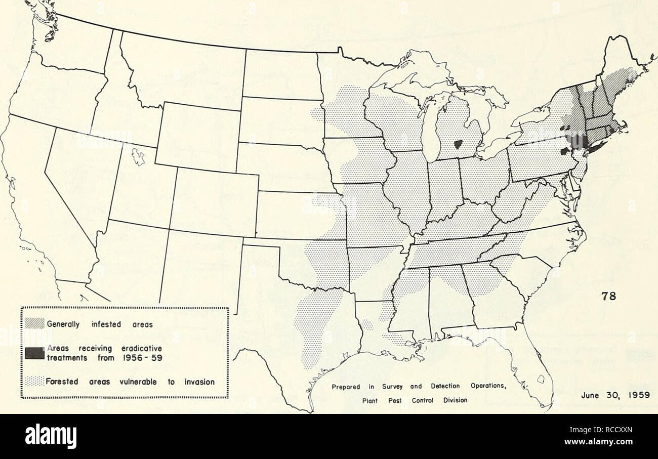 . Distribution maps of some insect pests in the United States. Insect pests United States; Insect pests Maps. - 42 - SOME INSECTS AND NEMATODES UNDER STATE OR FEDERAL REGULATION Porthetria dispar (gypsy moth). Solenopsis saevissima richteri (imported fire ant). Please note that these images are extracted from scanned page images that may have been digitally enhanced for readability - coloration and appearance of these illustrations may not perfectly resemble the original work.. United States. Plant Pest Control Division. [Washington, Plant Pest Control Division, Agricultural Research Service] Stock Photo