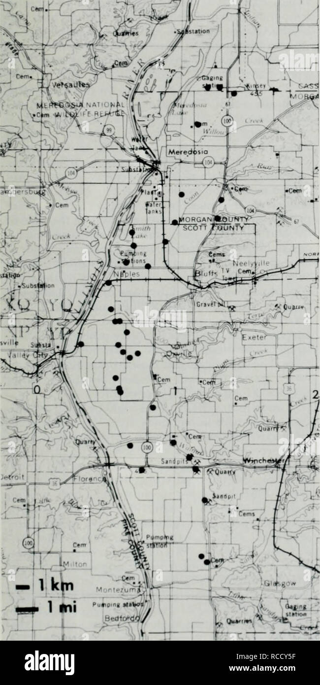. Distribution, habitat, and calling season of the Illinois chorus frog (Pseudacris streckeri illinoensis) along the lower Illinois River. Frogs. September 1988 Brown and Rose: Illinois Chorus Frog (Pseudacns strecken illmoemis) nated as a low-level sand terrace on Plate 7 ot Willnian 1973), we heard no P. streckert illinoensis. When our study was nearing completion, Moehn (1984) reported the first locality for Pseudacns strecken illinoensis from Scott County: "2.8 km S intersection of US Hwy 54 and Hillview Blacktop." Loren D. Moehn. Fk.i'rk '.'t. New flistrihiitioiial records (larg Stock Photo