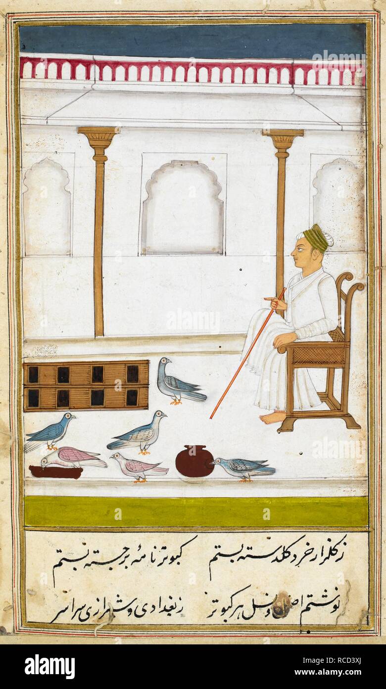 A seated man with a stick watching pigeons in a courtyard. Kabutar-nama. India, 1788. Source: I.O. ISLAMIC 4811, f.6v. Language: Persian. Stock Photo