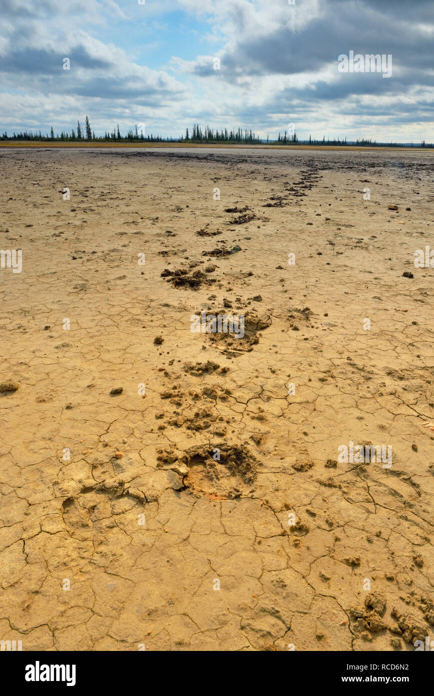 Salt plain hi-res stock photography and images - Alamy