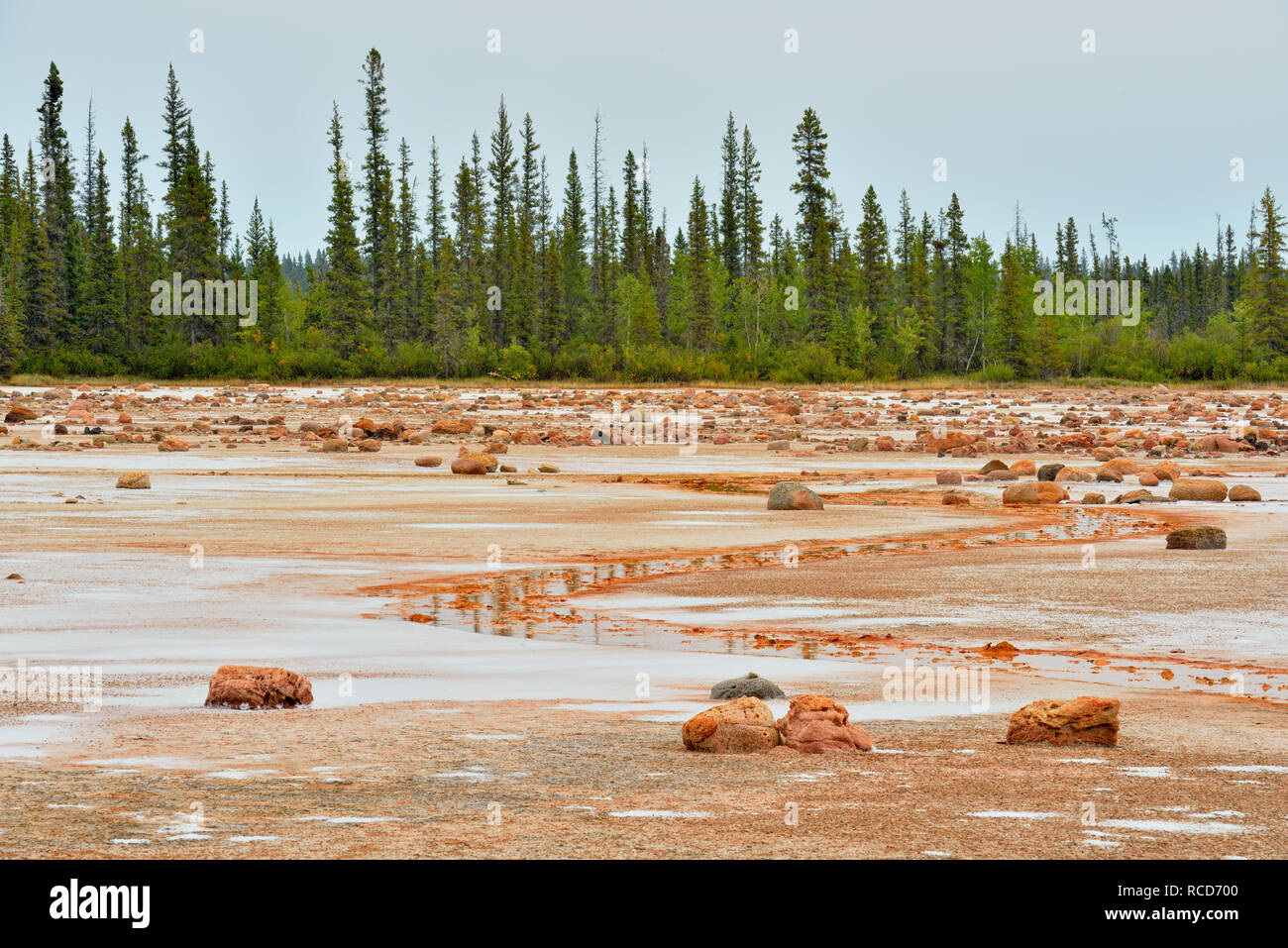 Salt flats at Grosbeak Lake- with salt-etched erratic boulders, Wood Buffalo National Park, Albert, Canada Stock Photo