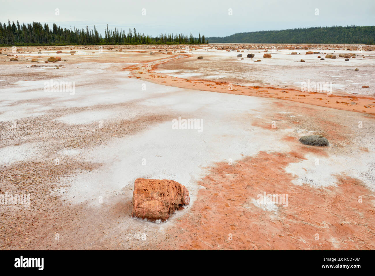 Salt flats at Grosbeak Lake- with salt-etched erratic boulders, Wood Buffalo National Park, Albert, Canada Stock Photo