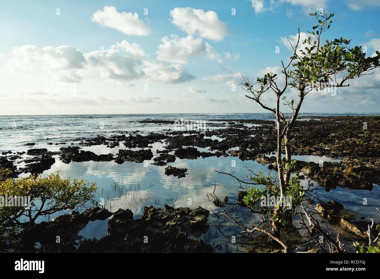 Pentecost Island Pacific High Resolution Stock Photography and Images ...