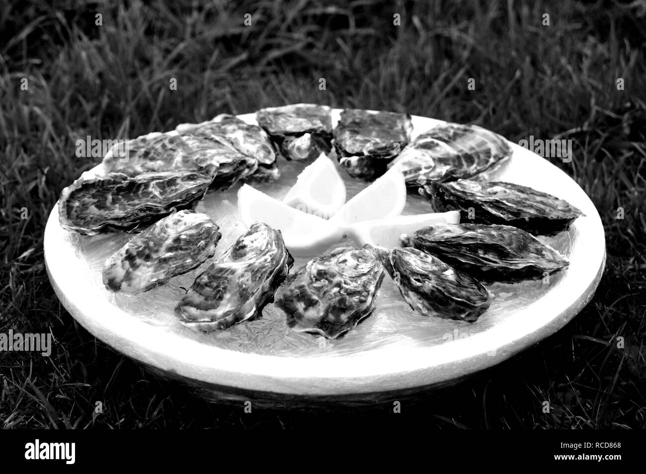 Beach Normandy old oyster farm Stock Photo Alamy