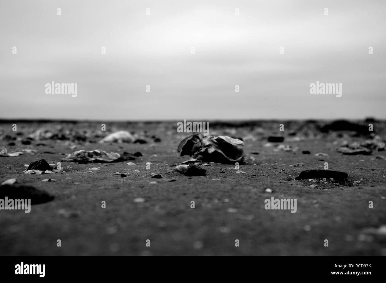 Beach Normandy old oyster farm Stock Photo Alamy