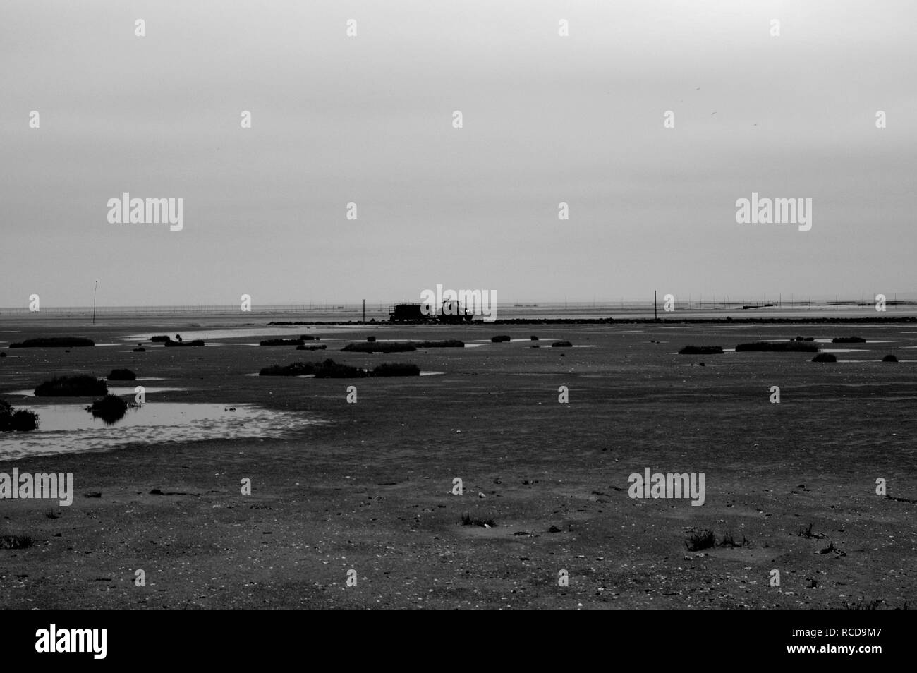 Beach Normandy old oyster farm Stock Photo Alamy