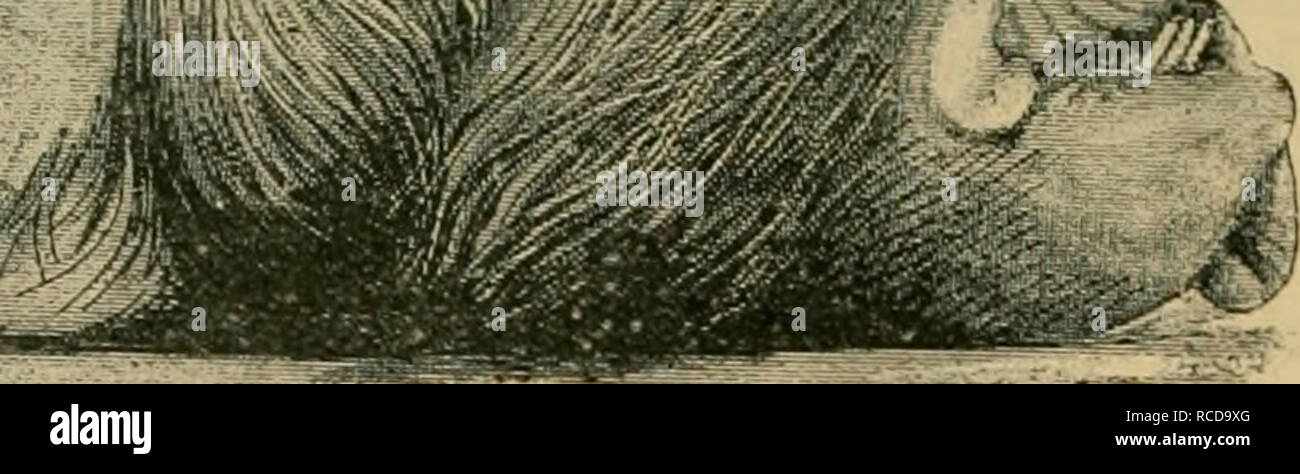 Osseous stones hi-res stock photography and images - Alamy