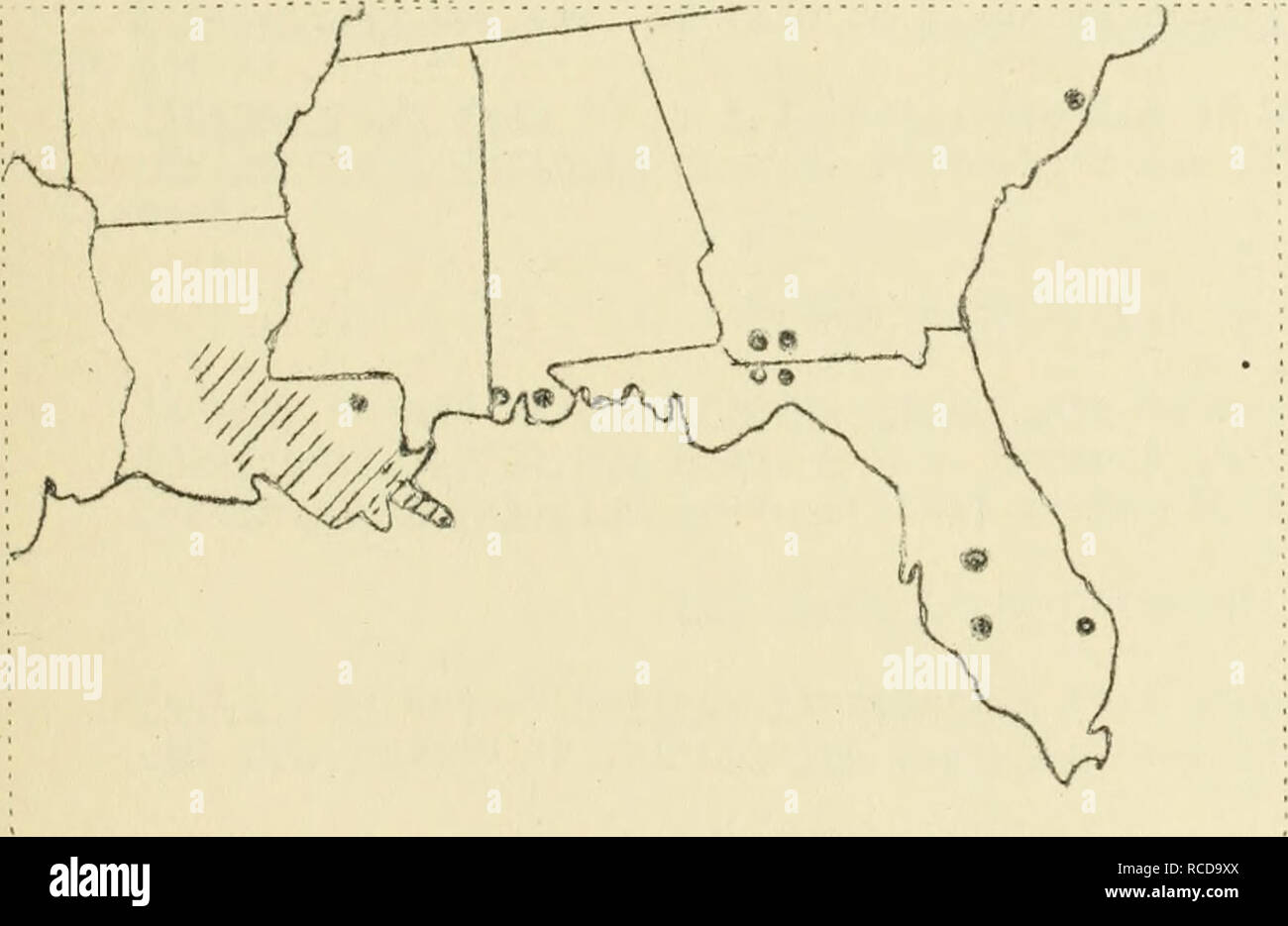 . Diseases of cotton, sugar cane, forest trees, ornamentals and miscellaneous plants in the United States in 1919. Fiber plants Diseases and pests United States; Sugar crops Diseases and pests United States; Trees Diseases and pests United States; Plants, Ornamental Diseases and pests United States. Red rot and red stripe were reported from Georgia, Florida, Alatama, Louisiana and Texas. In Louisiana the disease was prevalent. In Alatama it was atundant. Pit.. 5*^. Showing the location of areas of red rot in the southern cane belt. Sheath rot caused by Sclerotium rolfsii Sacc,. Sheath rot was  Stock Photo