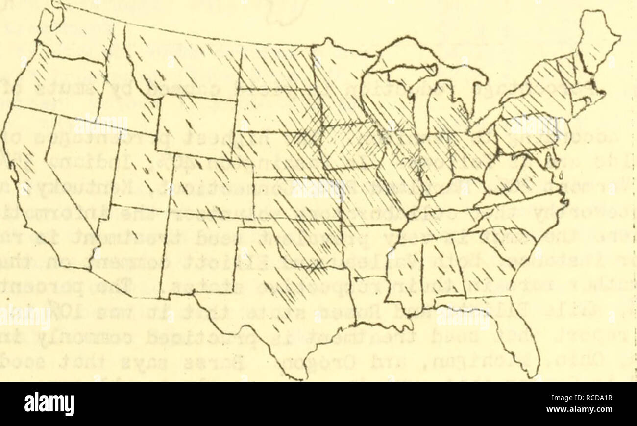 . Diseases of cereal and forage crops in the United States in 1921. Grain Diseases and pests United States; Forage plants Diseases and pests United States. OATS - Smuts 215 Powdery rrdldev/ caused by Erysiphe graminis DC. - reported to te very prevalent in Nev; York where, on account of the early warm spring, the damage reached 1.^%, according to Kirby; cird was reported once in Oregon, in a moist draw in a field at I'oro. Leaf spoi. cdused by Septoria passerinii Sacc . This has been reported from V.'isconsin. (V.'eber, George F. Studies on Septoria diseases of cereals and certain grasses. (Ab Stock Photo