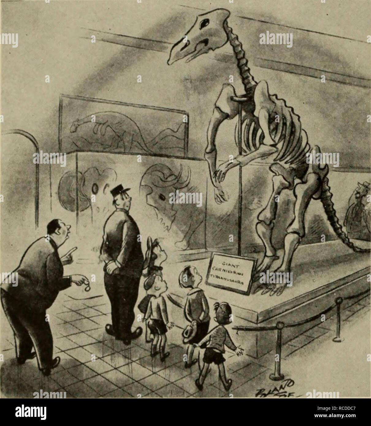 The dinosaur book : the ruling reptiles and their relatives 