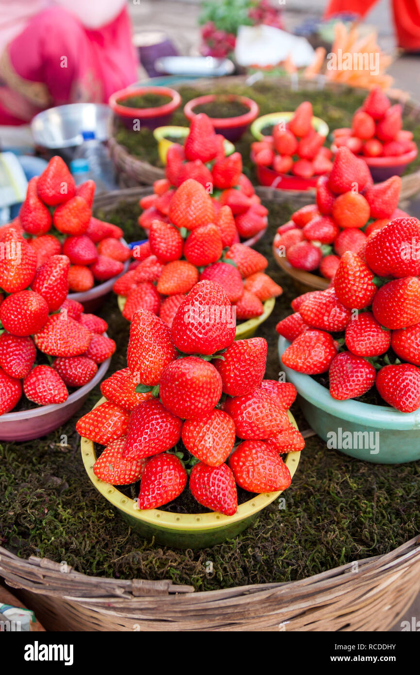 strawberry in the market at Mahabaleshwar near Pune, Maharashtra, India