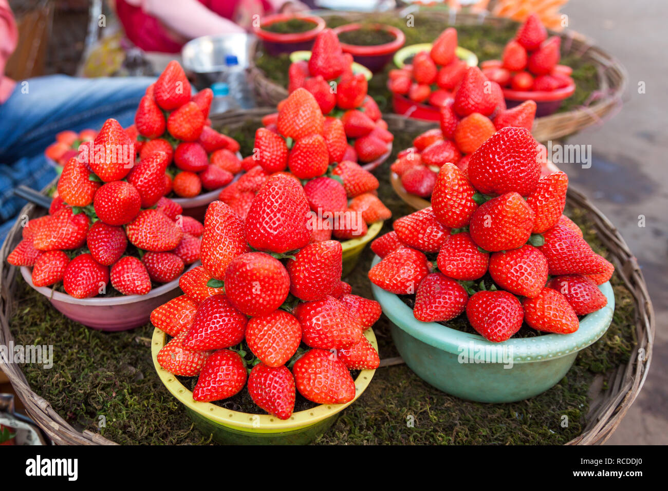 strawberry in the market at Mahabaleshwar near Pune, Maharashtra, India