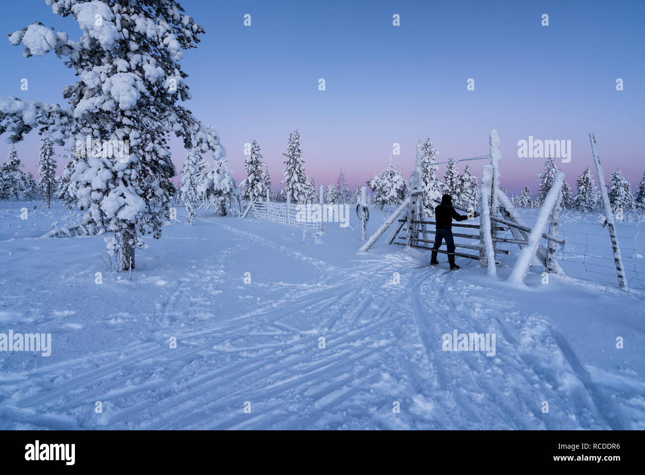 Ski touring in Urho Kekkonen natioal park in Savukoski, Lapland, Finland Stock Photo