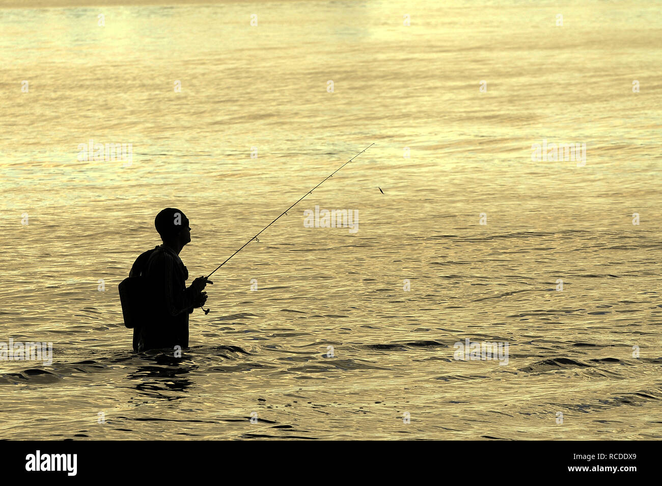 Fly Fishing for Bream Stock Photo Alamy