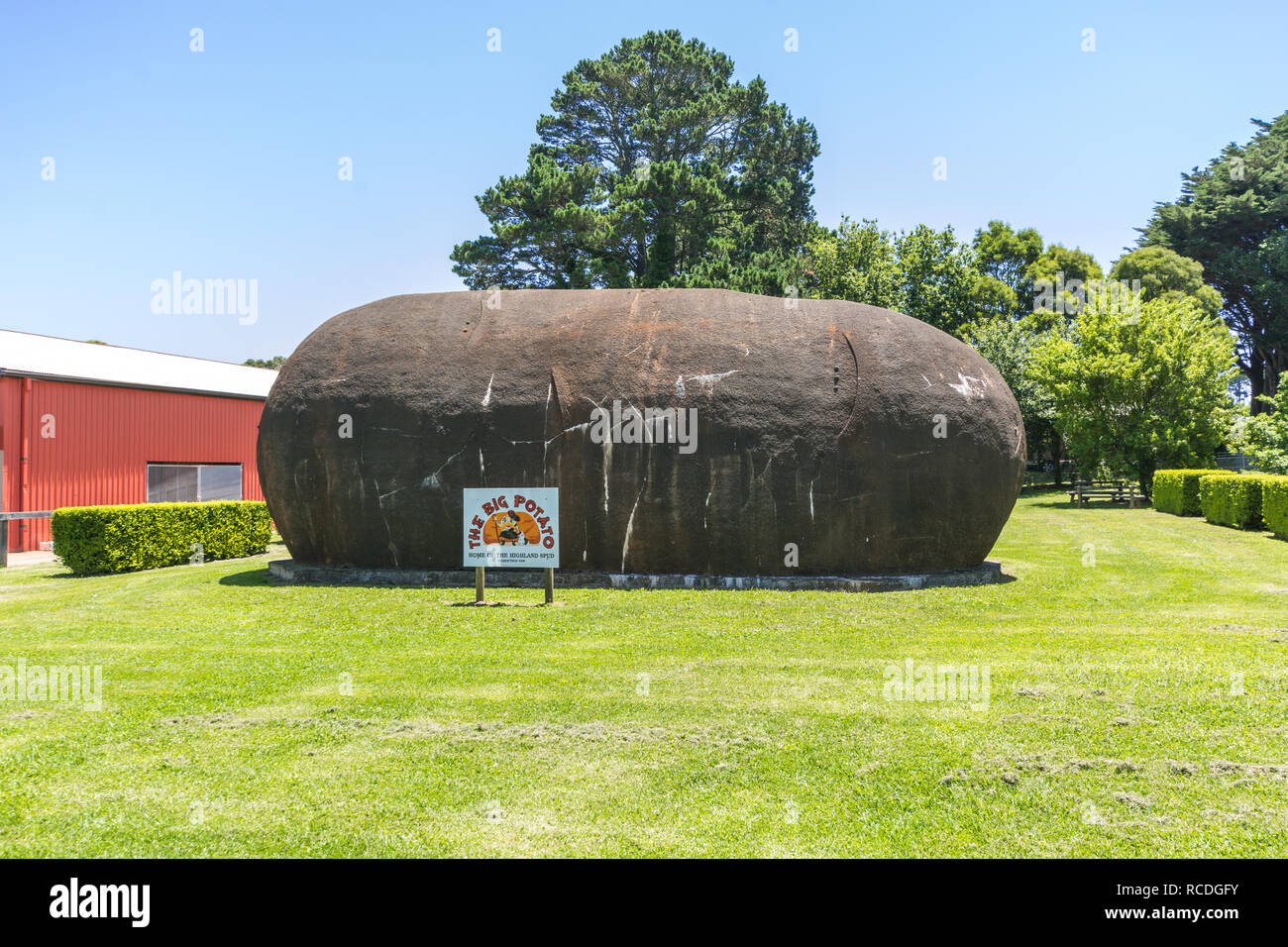Big Potato at Robertson New South Wales Australia Stock Photo