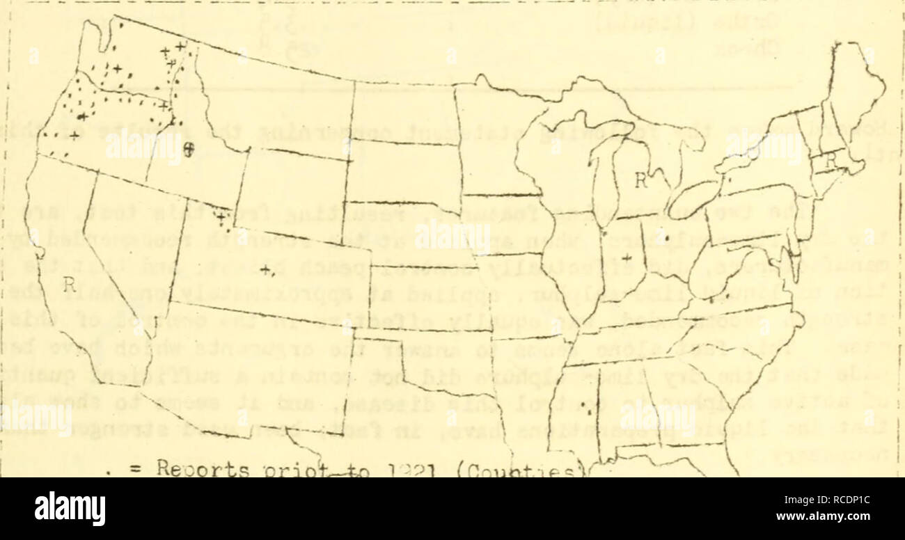 . Diseases of fruit and nut crops in the United States in 1921. Fruit Diseases and pests United States; Nuts Diseases and pests United States. FLAOH - Blight 77 &quot;The Coryneum blight of the poach v/as very destructive in Delta County. survey of 3^ growers v/as made- and the loss ranged from 2,2^: to 2yf3 vrhen it cane to mrketing the fruit, ''.r. V/. L. I.^ay ^ v/ho took these data, estimated the loss in that county could have been put at ^-20,000. The past year v/as very v.et in ccmparison vdth pre- vious years, v/hich accounts for the sudden outbreak.&quot;. R = Reportc prior to'l^^l^^-b Stock Photo