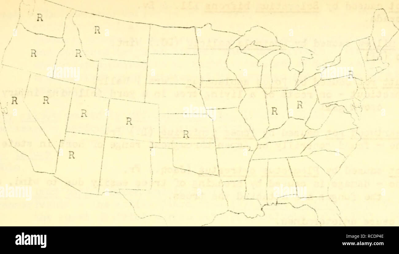 . Diseases of forest and shade trees, ornamental and miscellaneous plants in the United States in 1921. Trees Diseases and pests United States; Plants, Ornamental Diseases and pests United States. 4^3.  Fic,. 54- Geographical distribution of poplar canker caused by Cytospora chn^sosperna (FcrsO Fr. in tiie U. S., as reported to Hie Plant Disease Survey. European canker caused by Dothichiza populea Sacc. Connecticut - more prevalent â¢J-.an in previous years. Minnesota - weather relations were dry and hot; disease cormon. Illinois (RBM) .nthracncse caused by ?!arssonia pcpuli (Lib.) Sacc. ''e Stock Photo