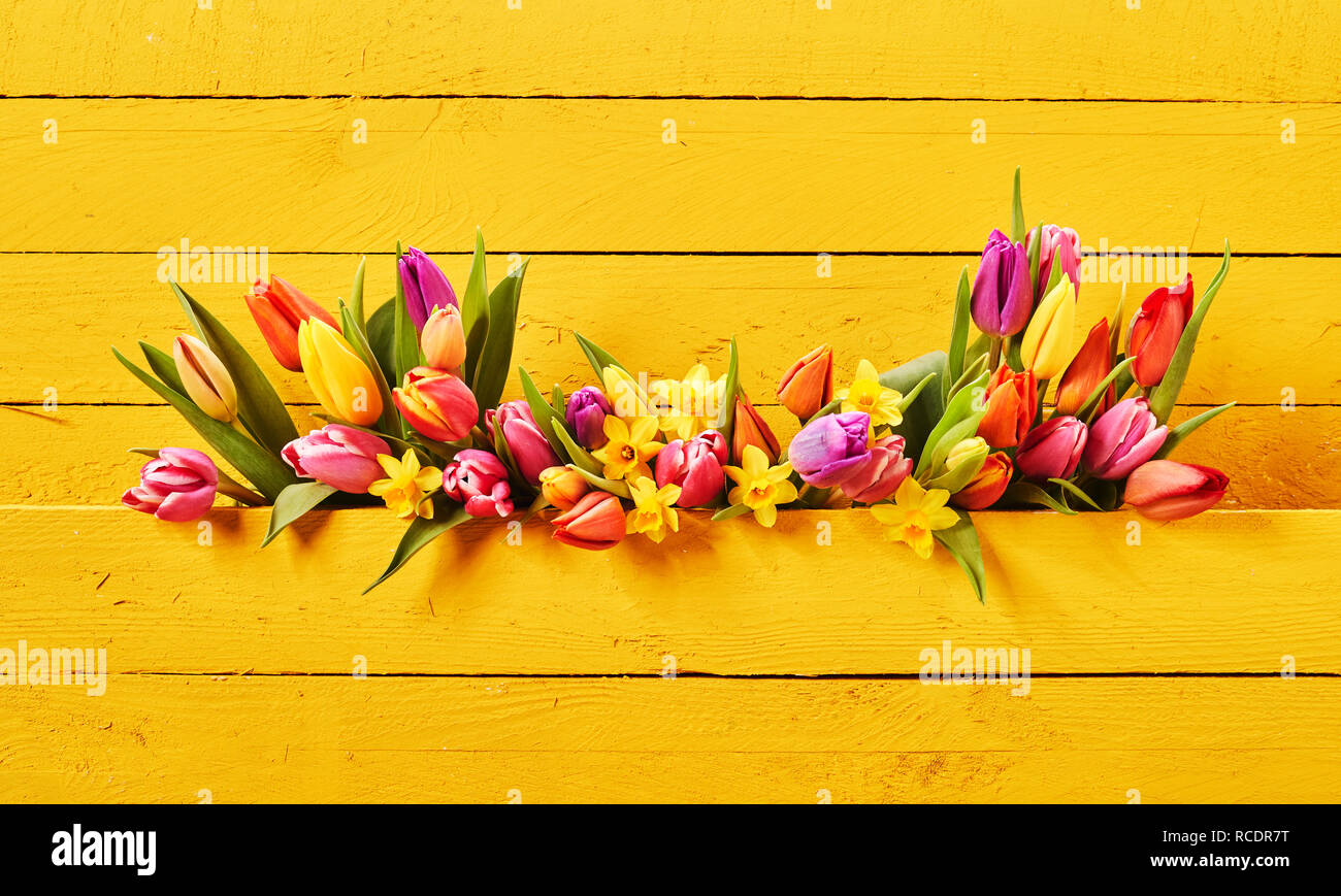 Colorful setting of fresh springtime flowers on yellow background of painted boards with copy space Stock Photo