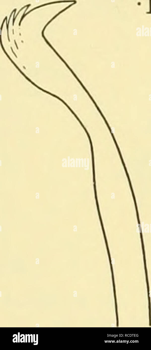 M 85 26 30 High Resolution Stock Photography And Images Alamy