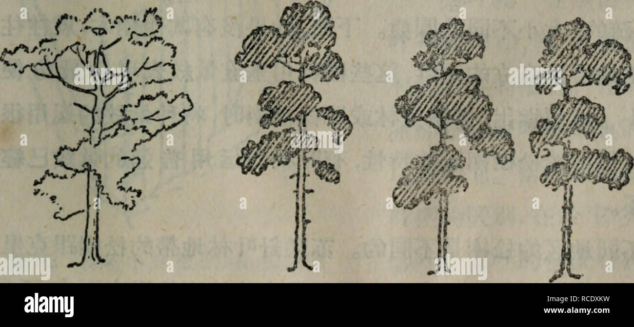 . Physiology of tree crops; proceedings of a symposium held at Long Ashton Research Station, University of Bristol, 25-28 March 1969;. botany; Tree crops. KS»Tfitaittw#fiE (h 83)0 mm, *«?ffiS^*««*«jH*. • 57 •. Please note that these images are extracted from scanned page images that may have been digitally enhanced for readability - coloration and appearance of these illustrations may not perfectly resemble the original work.. Long Ashton Symposium. (2nd : 1969); Luckwill, Leonard C; Cutting, C. V; Long Ashton Research Station. London, New York, Academic P. Stock Photo