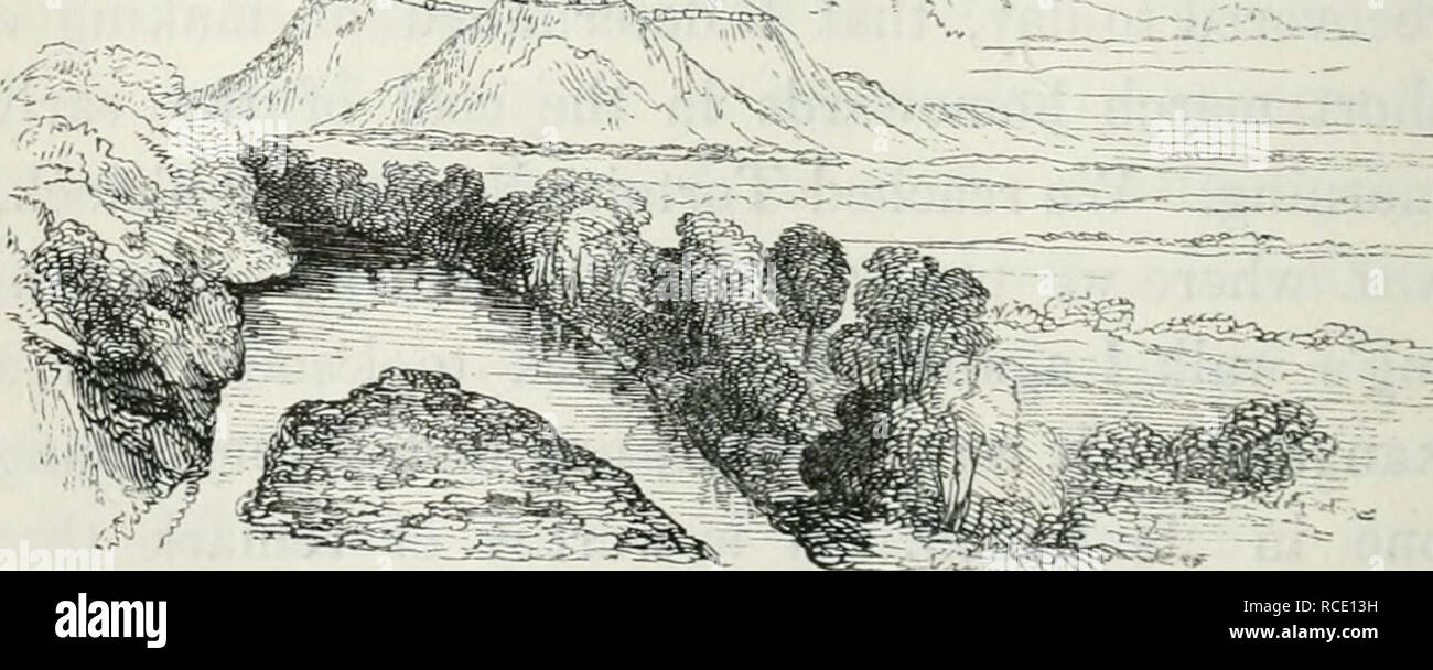 . Discoveries in Australia;. Natural history. 84 WICKHAM HEIGHTS. most of those I killed were does, with young ones of different ages, which afforded Mr. Bynoe the means of making some interesting observations on the manner in which they are brought forth, which will be found further on in the part of the work relating to Houtman's Abrolhos, where more opportunities occurred of arriving at a satisfactory result. Mr. Bynoe added here to his collection of birds, to which also, I was so fortunate as to be able to contribute a beautiful specimen of a rifle-green glossy ibis, com- mon in Europe. I  Stock Photo