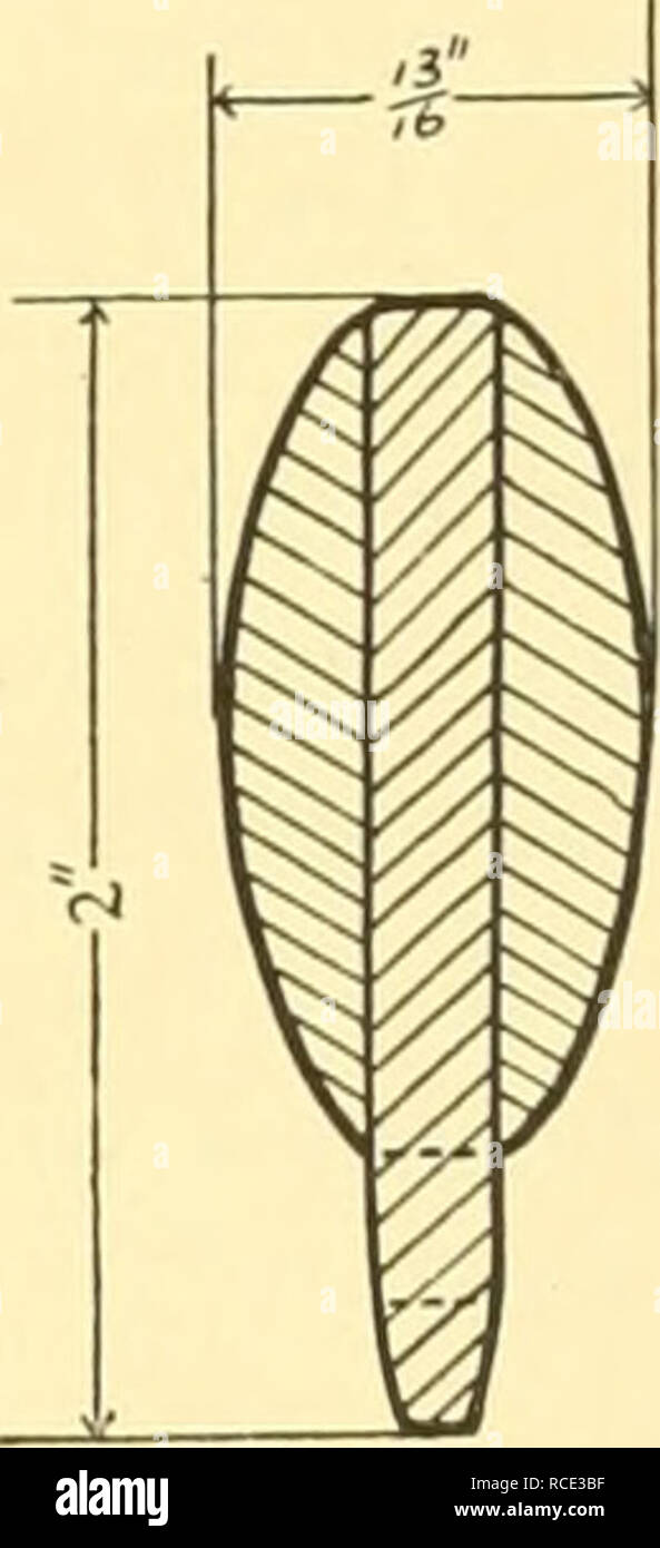 Discovery Reports Discovery Ship Scientific Expeditions Plankton Net Specifications 185 Lashed To The Ring Has The Cylindrical Section A 3 Ft Long Made Of In Mesh Knot To Knot Netting
