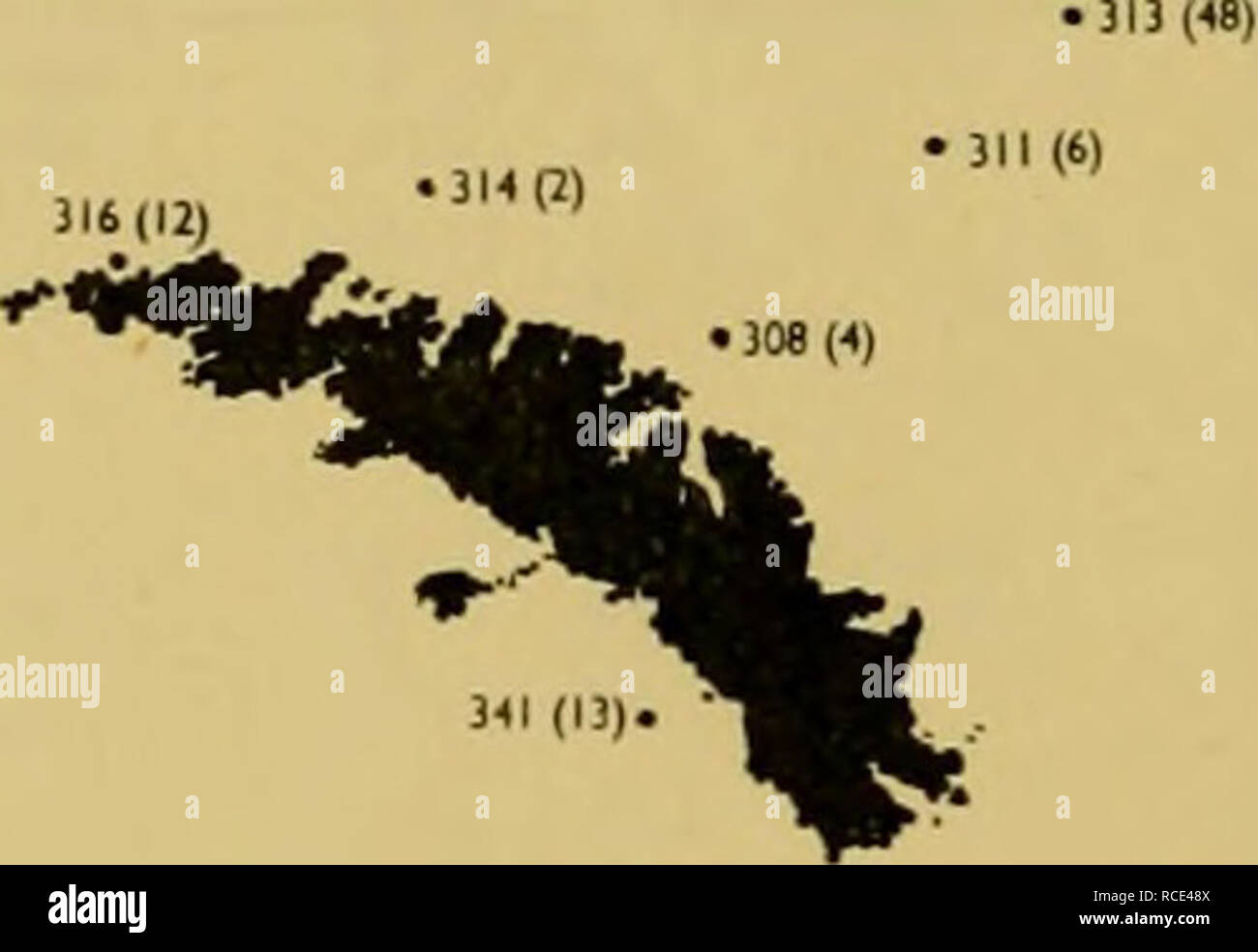 . Discovery reports. Discovery (Ship); Scientific expeditions; Ocean; Antarctica; Falkland Islands. â -! 1 â¢ WS 47 1190)^ â¢ WS 49 (61) ^ 1 â¢ 309(B) â¢ WS 22 (43) - T&amp; SS'S WS43 (161) 1 â 338 (2) 1 â¢WS34(I) â¢WS35|3) -344 (I) ] s sj- s - 1 â¢ WS 160 (St. ! - S â WS I66(l| .WS I6S(25) â¢ WS 164(1) â¢ WS 163(20) &quot;*% â¢ WS 4S(1) NO NTOV NETS INTHISStCTO* 1 1 â¢WS 173 (1) 1 1 â¢ WS 180(7) â WS 182 (6) - Fig- 37 Fig. 38 â¢30* (I). â¢3S6(I9)- *336 (M)- â¢&quot;5(1) Fig- 39 â¢ WS 167 (3) â¢ WS 165(111 â¢ WS 164(2) â¢ WS 160(2) â¢ WS 158(2) â¢ WS 156(3). Please note that these images are e Stock Photo