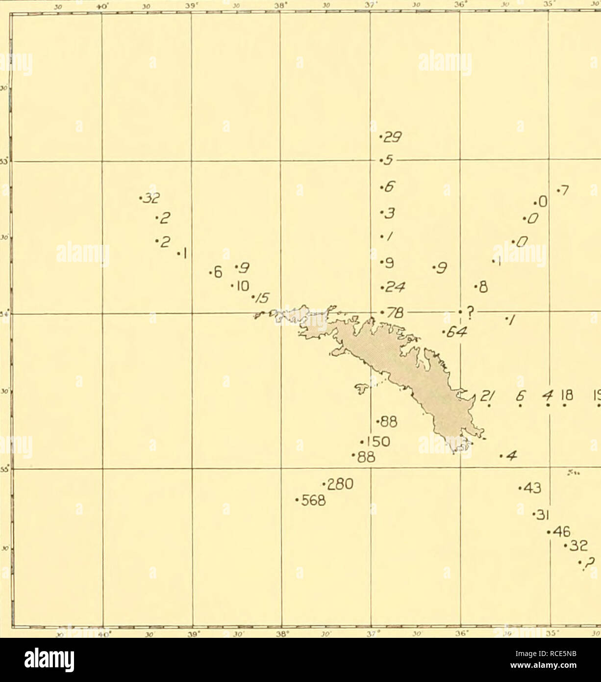 . Discovery reports. Discovery (Ship); Scientific expeditions; Ocean; Antarctica; Falkland Islands. X 4tf JO 39^. 34 ya&quot; )?/ 6 4 18 19 36 3 O Jty 3-f Fig. 24. Distribution of plankton quantities around South Georgia, 1927-8, Sts. WS 144-93. 30 +0* 30 39* â¢/ I â¢/ I -â¢II&quot; â¢4 I â¢2 I â¢2 1 â¢/a â o â o -&amp;&amp;-â¬ V TSN St 1 8 ^ / e i2 J 40' .Â«â¢ 39* JO' 36* JÂ£&quot; 37*  3i  .'o 3+' Fig. 25. Distribution of plankton quantities around South Georgia, 1928-9, Sts. WS 257-96.. Please note that these images are extracted from scanned page images that may have been digitally enhance Stock Photo