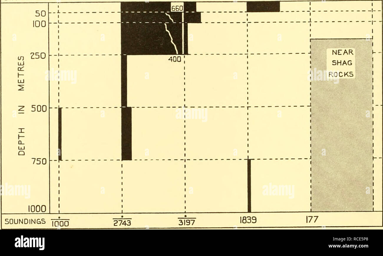 . Discovery reports. Discovery (Ship); Scientific expeditions; Ocean; Antarctica; Falkland Islands. 98 DISCOVERY REPORTS WS67 160. 0 100 200 300 SccLaC liiitiitiiliii.iiii.iMi.i...ii SOUTH GEORGIA STATIONS 12 UJ a: - U 2 x CL UJ Q 50 100 250 500 I SOUNDINGS 2744 II X 5000 TRISTAN DACUNHA 10 i 4402 Scale 0 100 200 300 lli,.li,,ill,,rll,,il,,iil,,i.l 4090 Fig. 44. Showing the vertical distribution of Foraminifera at stations between the Falkland Islands and South Georgia February 1927 and between South Georgia and Tristan da Cunha February 1926. The scale represents the numbers per 50 m. vertic Stock Photo