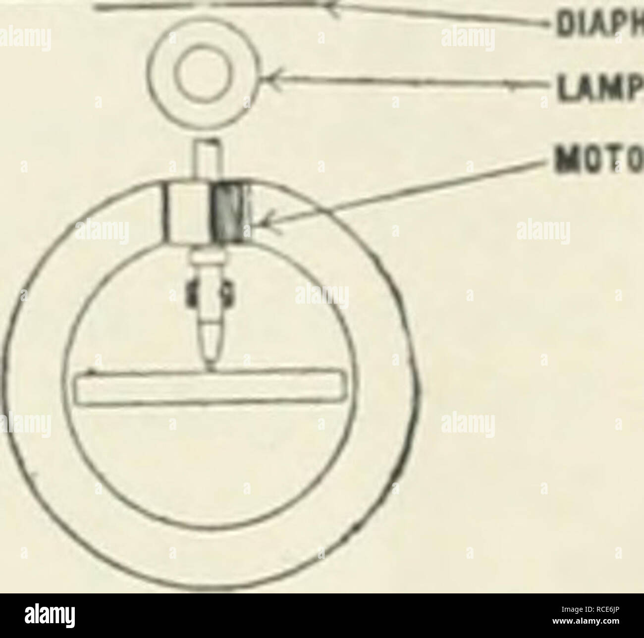 Discovery. Science. nmn* nntn n conuf â m uMt nÂ«ri â un ULUiiiK uioa  njccnvt emun ufuctuc lui WIAMEII stumiiM iiiacl/ U MTHIHC DISC r. KMMKEIIT  â UCUCT Via. 2. Fig.