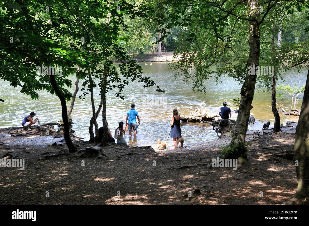 Dog owners with their dogs at a dogs allowed section of   BlackPark Lake ,  Wexham, Buckinghamshire, England Stock Photo