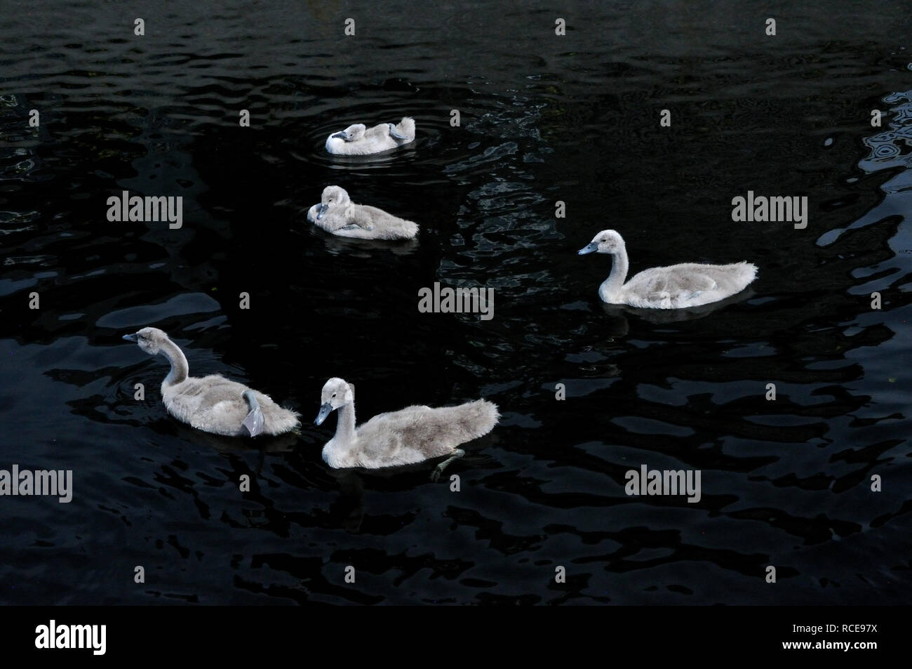 Five Middlesex England Stock Photo Alamy