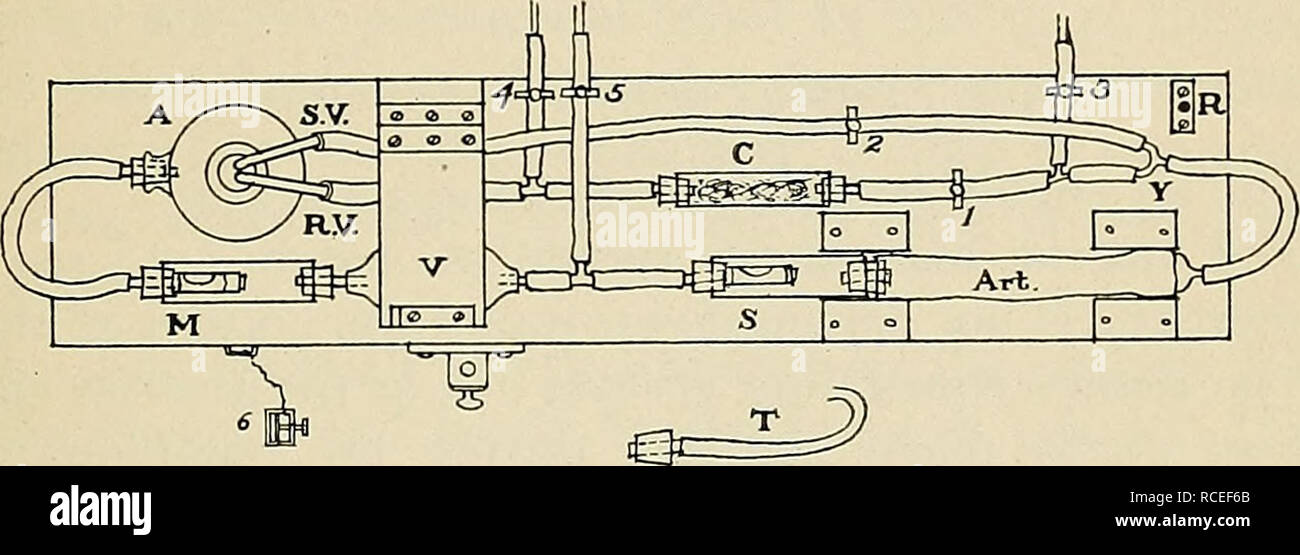 Directions For Laboratory Work In Physiology For The Use Of Medical Students Physiology Conditions Determining Bi Ood Pressurli 137 Experiment Xxvii Conditions Governing Blood Pressure And Velocity Of Flow Use Of The