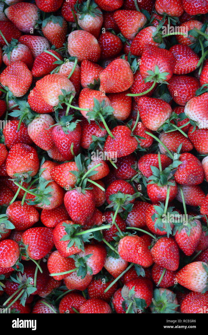 closeup many red ripe strawberries. food background Stock Photo - Alamy
