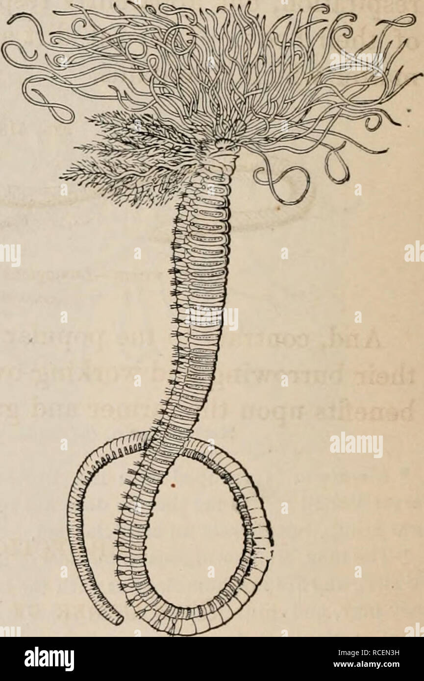 Contorted bodies hi-res stock photography and images - Alamy