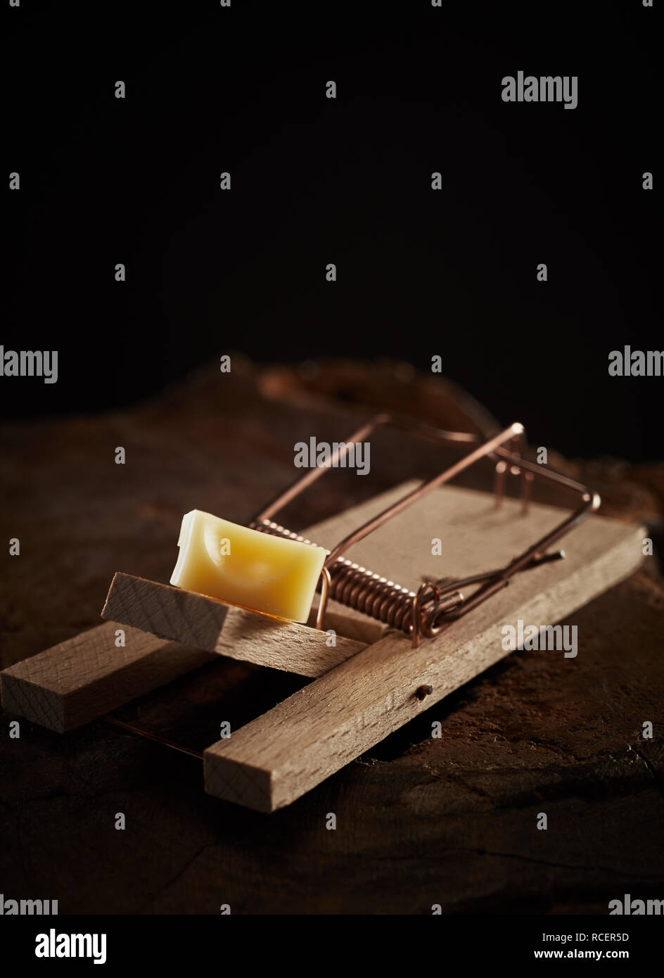 Wooden snap style mouse trap baited with cheese with the spring ready to catch and kill the rodent Stock Photo